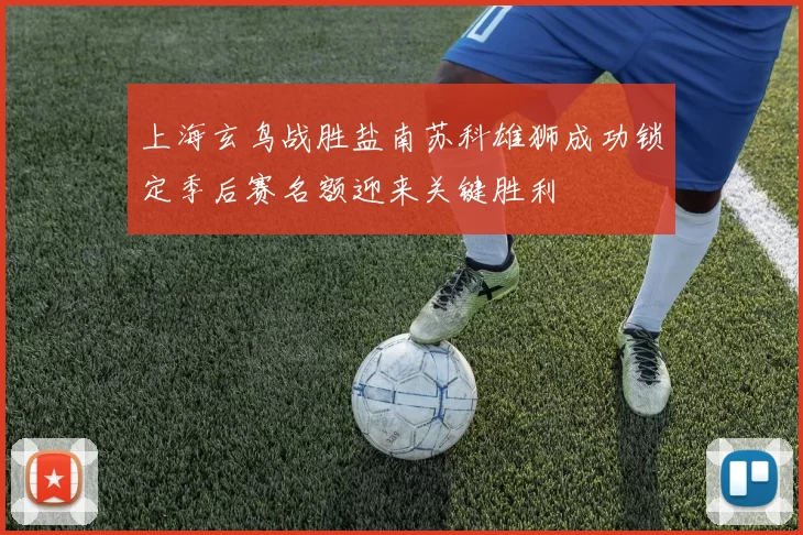 上海玄鸟战胜盐南苏科雄狮成功锁定季后赛名额迎来关键胜利